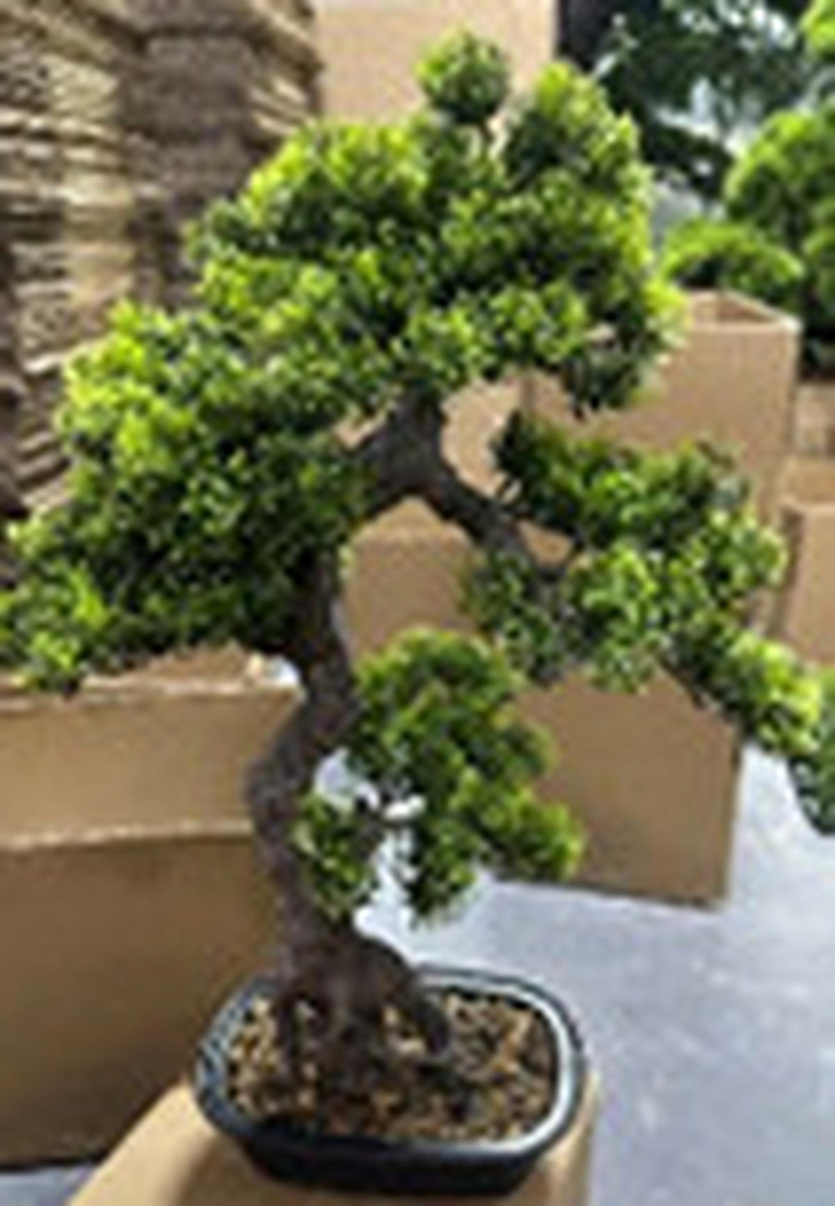 MŰNÖVÉNY - fekete/zöld, Basics, műanyag