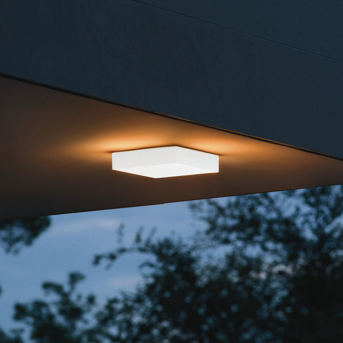 LED-DECKENLEUCHTE 25/5,5/25 cm   - Weiß, KONVENTIONELL, Kunststoff (25/5,5/25cm) - Ideal Lux