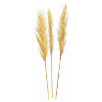 TROCKENBLUME  - Creme, Basics, Naturmaterialien (115cm)