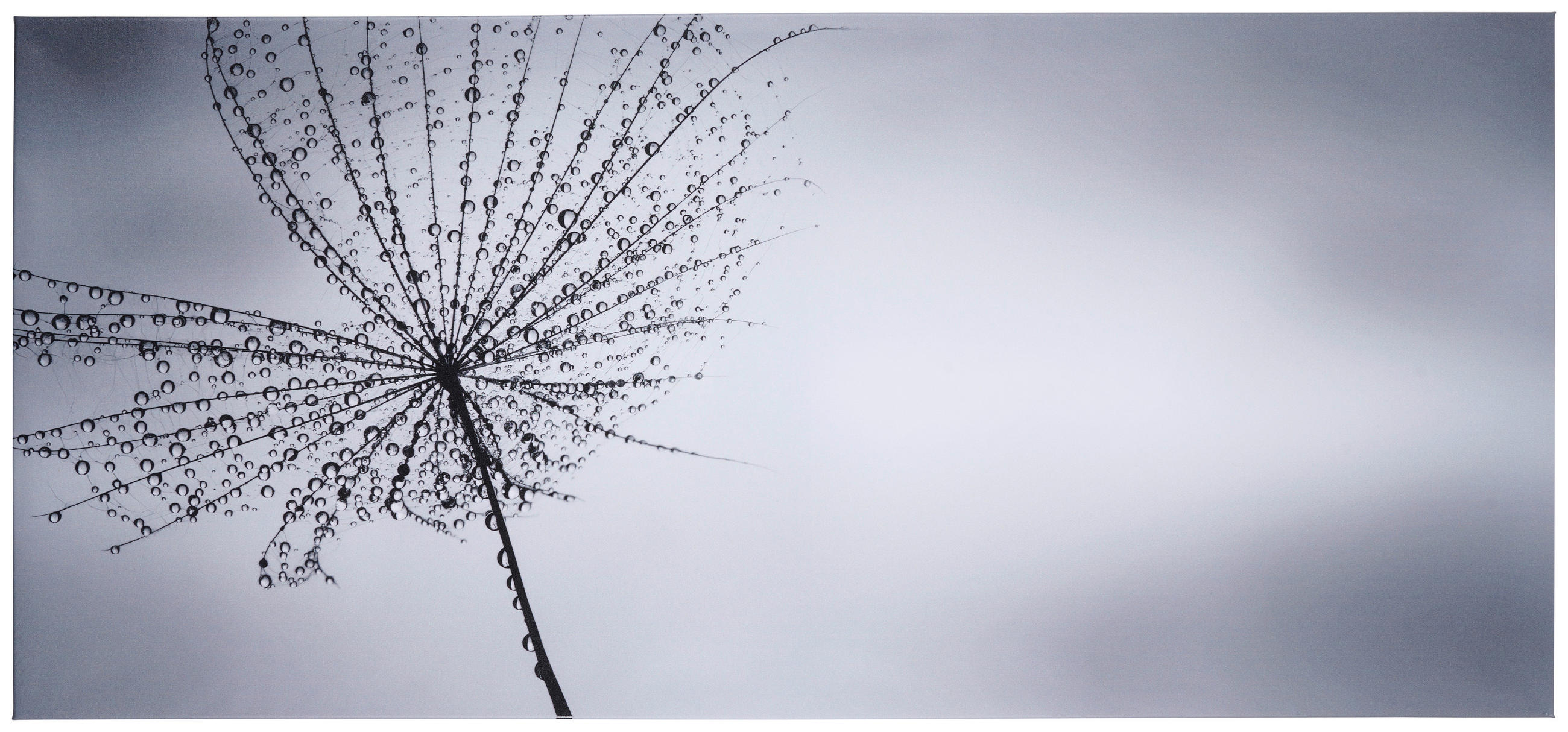 Monee UMELECKÁ TLAČ, krajina a príroda, kvety, 120/55 cm