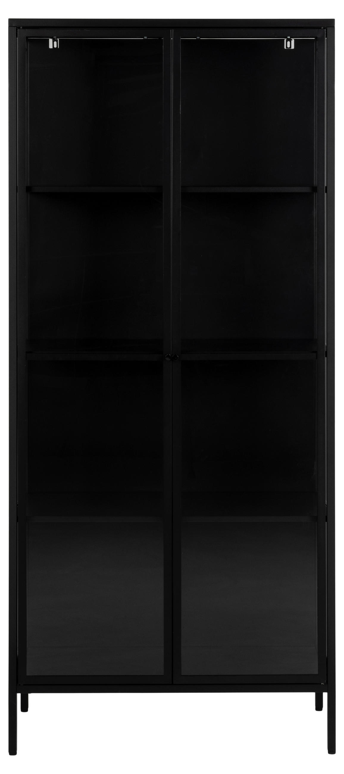 VITRINA, črna - črna/prosojno, Design, kovina/steklo (80/180/40cm) - MID.YOU
