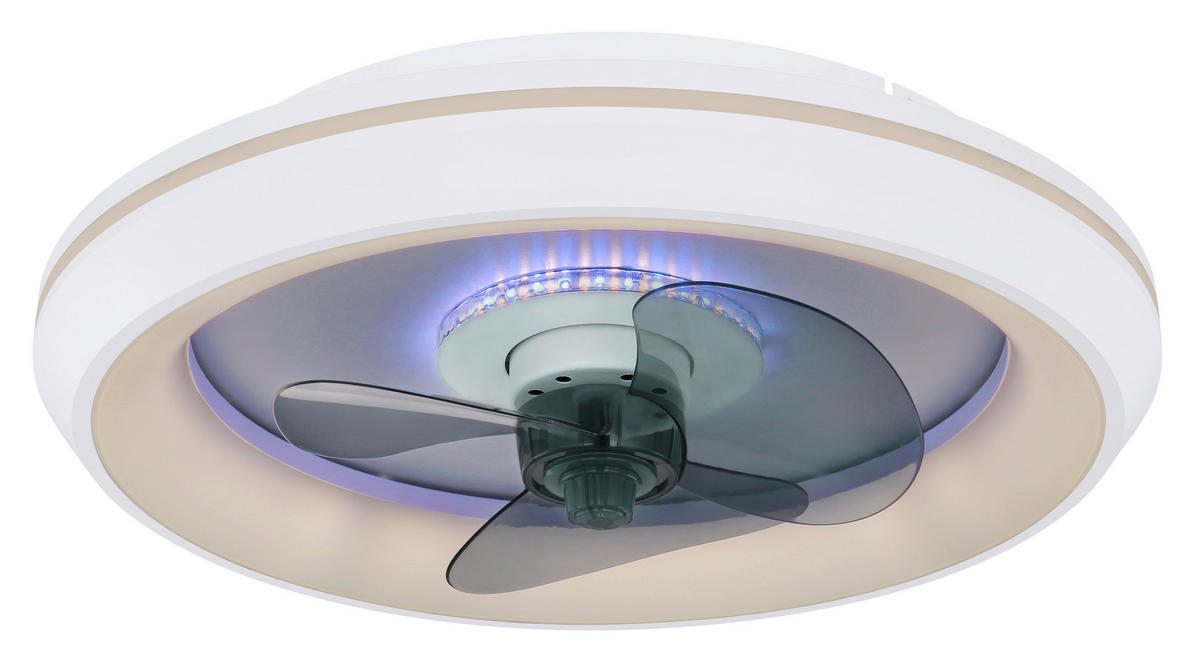 STROPNI VENTILATOR   //2700-6500 K// - siva/bela, Basics, kovina/umetna masa (45/13cm) - Globo