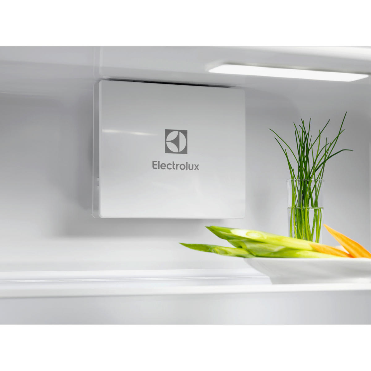 KÜHLSCHRANK 54,6/177,2/54,9 cm ERD6DE18S1  - Weiß, Basics, Glas/Kunststoff (54,6/177,2/54,9cm) - Electrolux