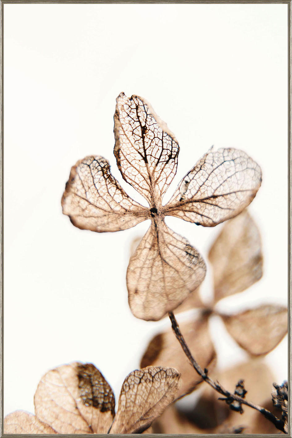 TABLOU PE STICLĂ 80/120 cm  - bronz/maro, Natur, plastic/sticlă (80/120cm) - Monee