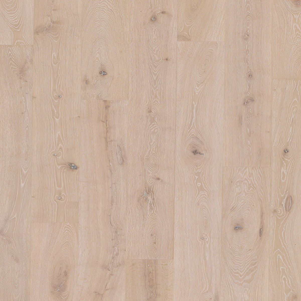 PARKETOVÁ PODLAHA  (m²) dub - bílá/barvy dubu, Lifestyle, dřevo (220/18,5/1,3cm) - Ambiente