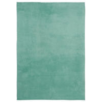 HOCHFLORTEPPICH Cosy 80/150 cm Cosy  - Mintgrün, Konventionell, Textil (80/150cm) - Boxxx