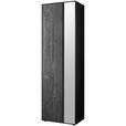 GARDEROBENSCHRANK 60/196/39 cm  - Anthrazit/Schwarz, Design, Glas/Holz (60/196/39cm) - Johann Jakob