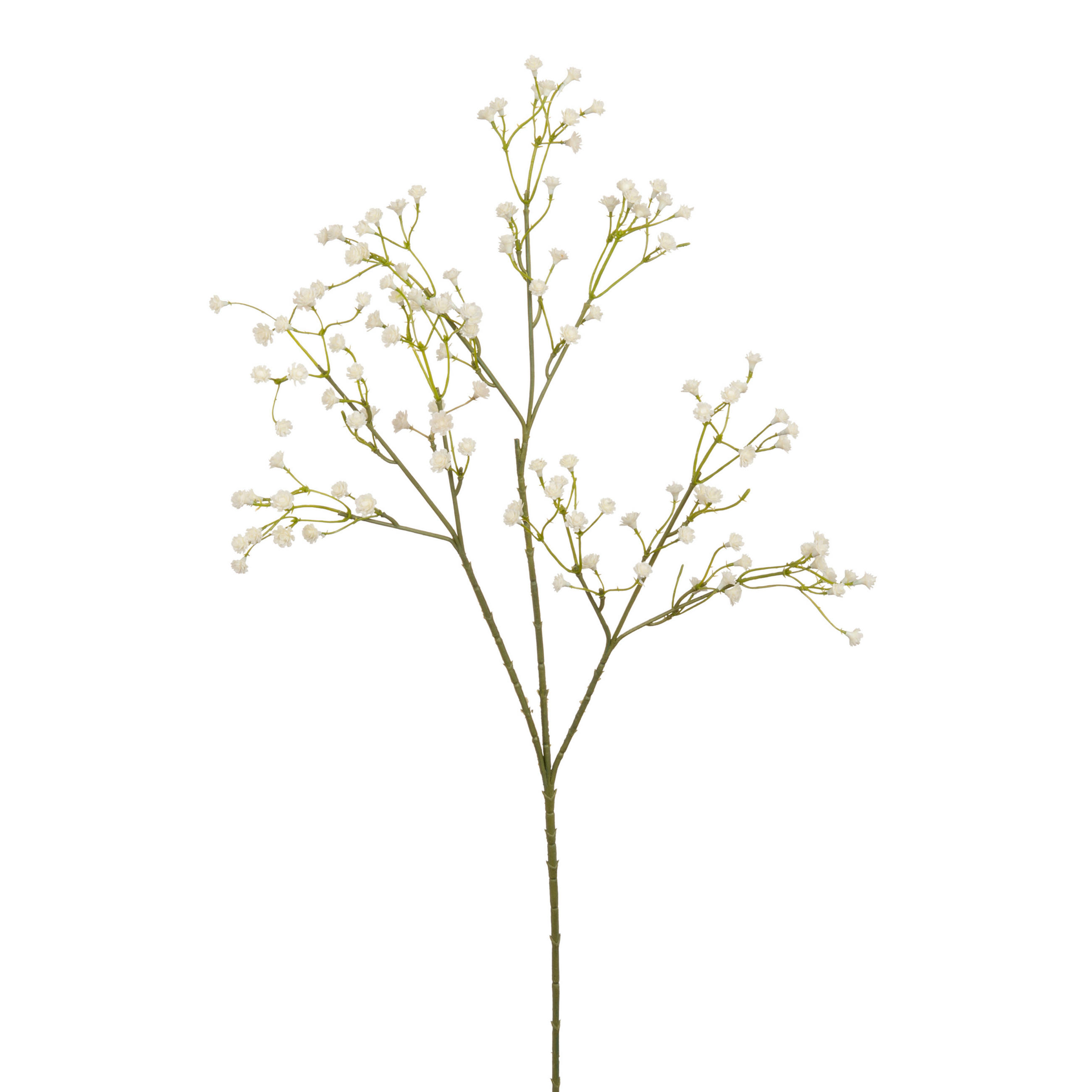 OKRASNA VEJICA SADRENKE - krem barve, Basics, umetna masa (60cm)