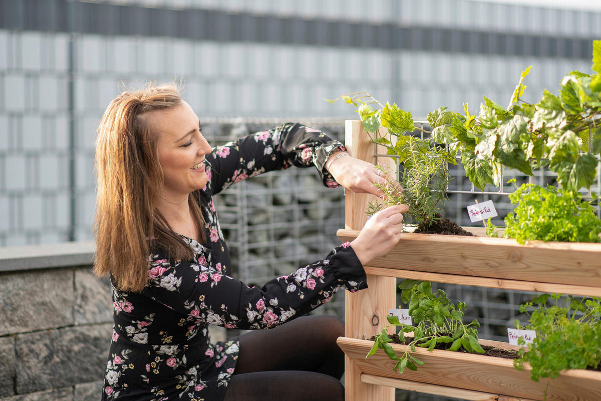 GARTENREGAL Holz  - Lärchefarben, Basics, Holz (80/95/50cm) - Ambia Garden