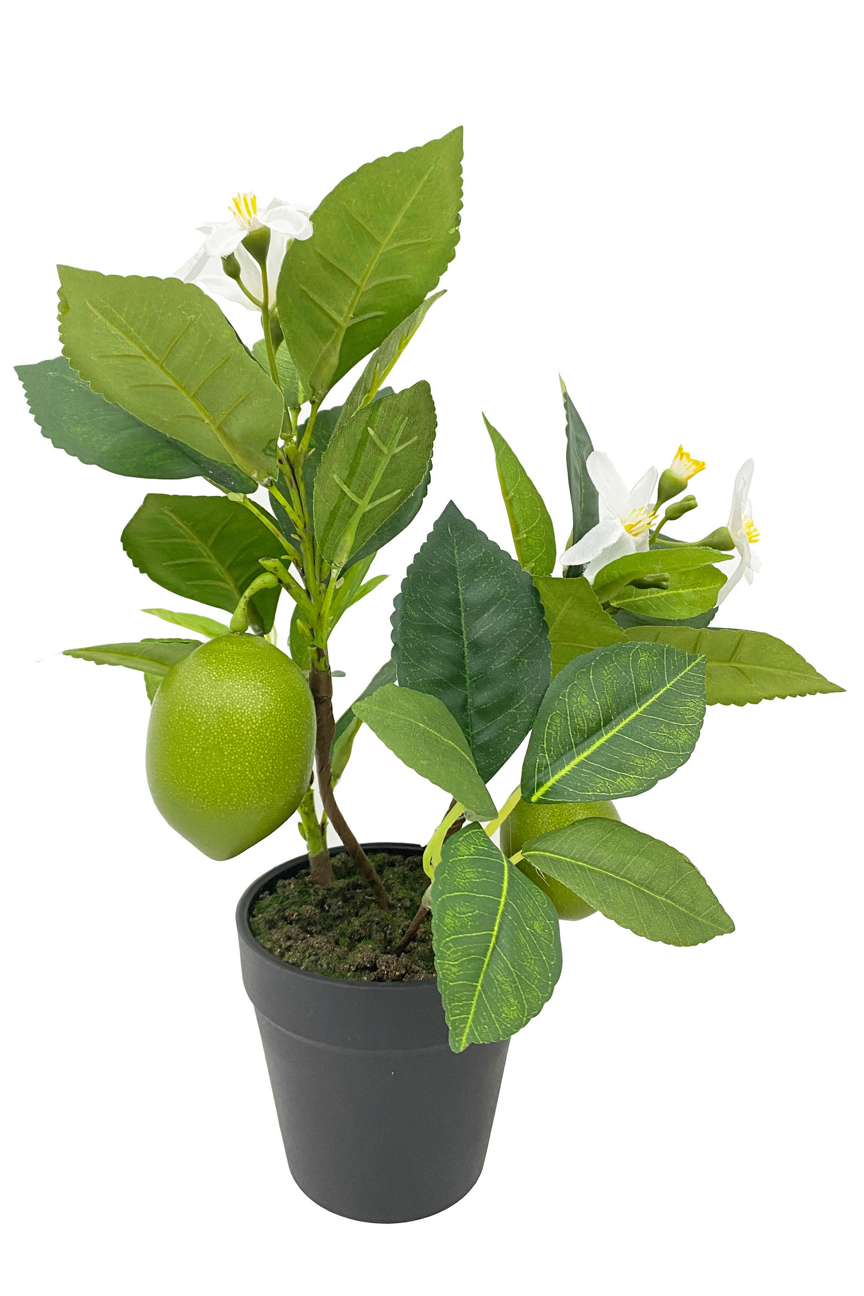 PLANTĂ ARTIFICIALĂ - maro/verde, Basics, plastic/metal (31cm) - Ambia Home