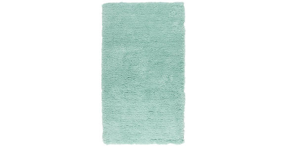 BADEMATTE 70/120 cm Mintgrün - Mintgrün, Basics, Kunststoff/Textil (70/120cm) - Ambiente
