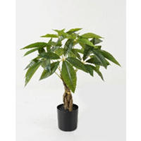 MŰNÖVÉNY - fekete/zöld, Basics, műanyag