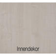 KLEIDERSCHRANK 300/216/58 cm 6-türig  - Schieferfarben/Grau, Design, Glas/Holzwerkstoff (300/216/58cm) - Novel