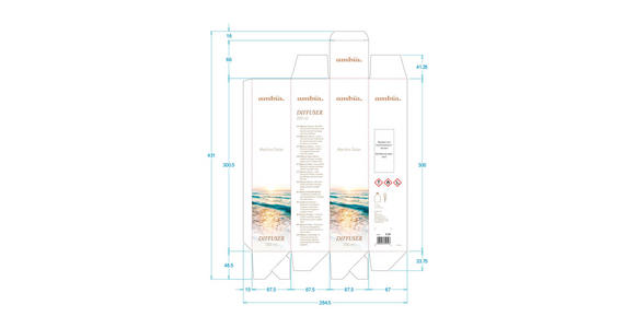 RAUMDUFT 100 ml floral, fruchtig - Grauweiß, Basics, Glas (100ml) - Ambia Home