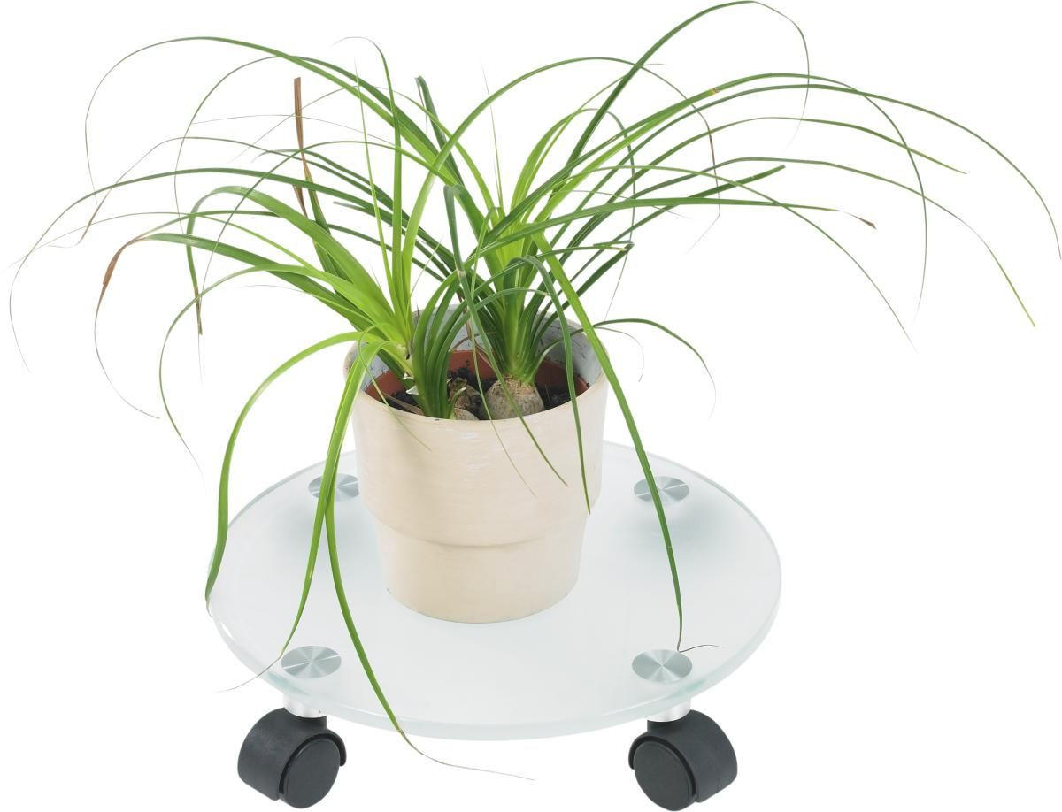 POJÍZDNÝ PODSTAVEC,  - Design, sklo (30/7,5/30cm) - Boxxx