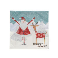 UBROUSEK 20 KS - bílá/tyrkysová, Basics, papír (17/17/2cm)