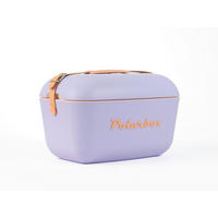 KÜHLBOX Lila 20 L  - Lila, Basics, Kunststoff (45,3/30,9/29cm) - Polarbox