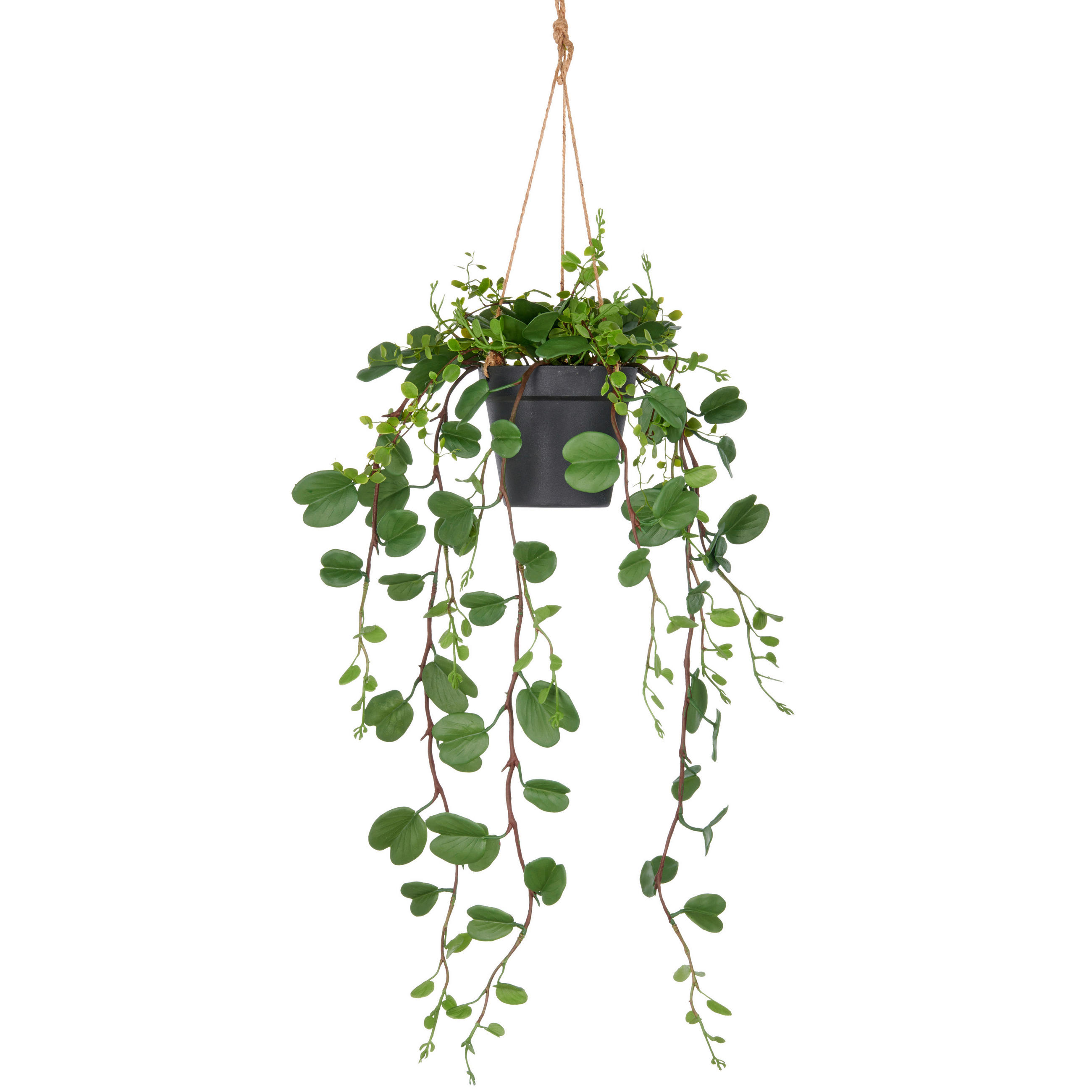 KUNSTPFLANZE Efeu 60 cm  - Schwarz/Grün, Basics, Kunststoff (60cm)