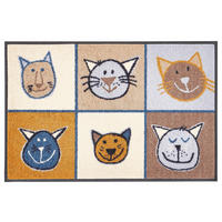 FUßMATTE 50/75 cm  - Beige/Multicolor, Basics, Kunststoff/Textil (50/75cm) - wash+dry