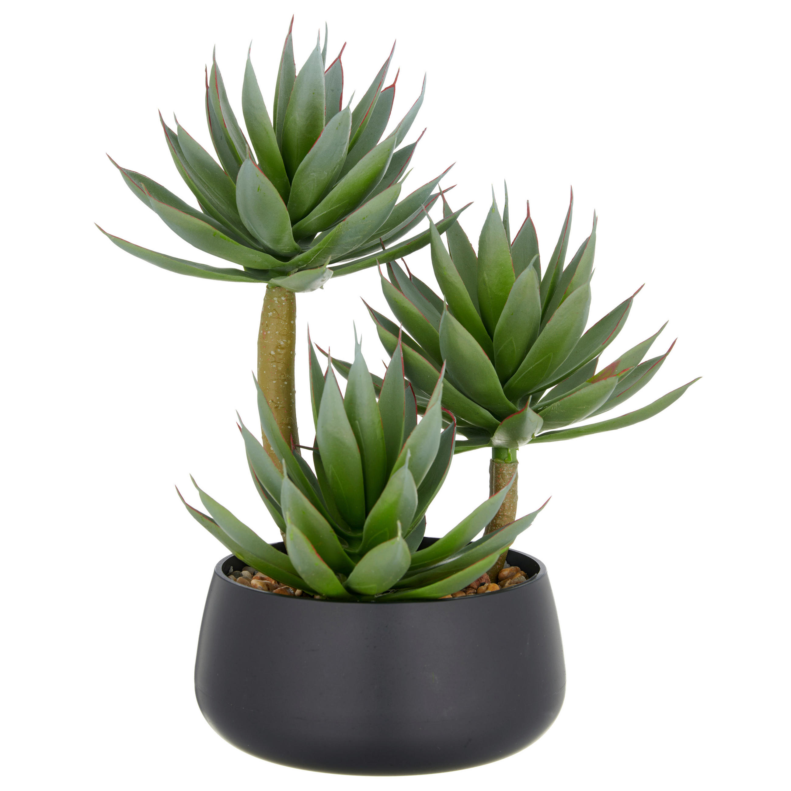 AGAVE Agave 28 cm  - Hellbraun/Schwarz, Basics, Kunststoff (28cm) - P & B