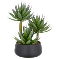 AGAVE Agave 28 cm  - Hellbraun/Schwarz, Basics, Kunststoff (28cm) - P & B