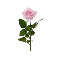 FLOARE ARTIFICIALĂ - Basics (8,00/8,00/55,00cm)