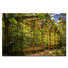 Architektur BILD RUST IN THE GARDEN - Multicolor, Basics, Holzwerkstoff/Kunststoff (75/50cm) - Wiedemann Architektur BILD RUST IN THE GARDEN - Multicolor, Basics, Holzwerkstoff/Kunststoff (75/50cm) - Wiedemann