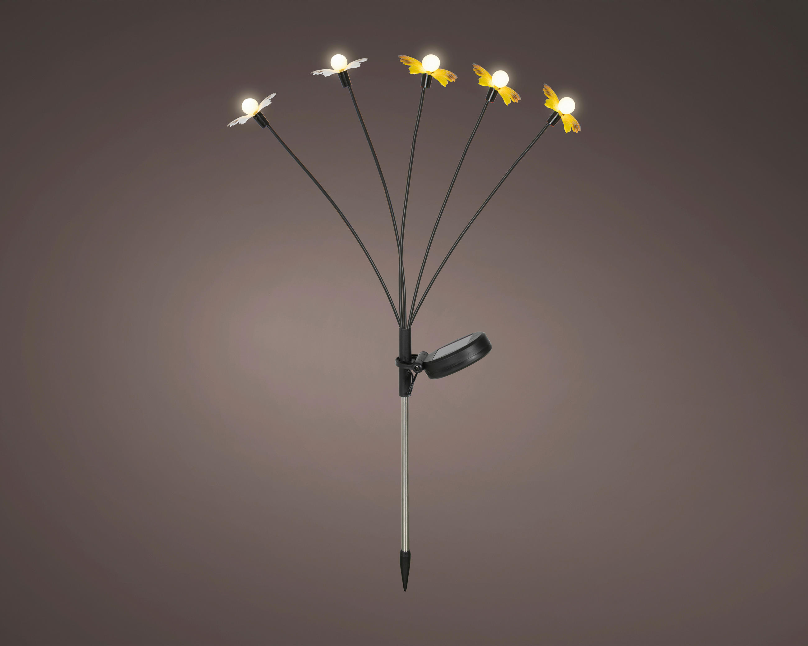 SOLÁRNÍ SVÍTIDLO, 39/26/41.5 cm - Basics (39/26/41.5cm)