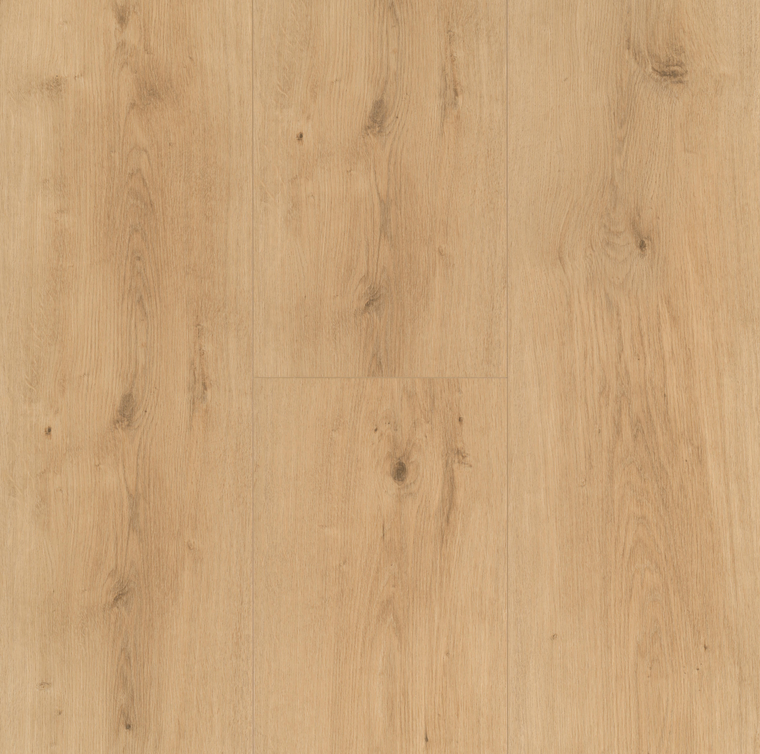 DESIGNBODEN Modular ONE  per  m² - Eichefarben, Design, Holz (220/23.5/0,8cm) - Parador