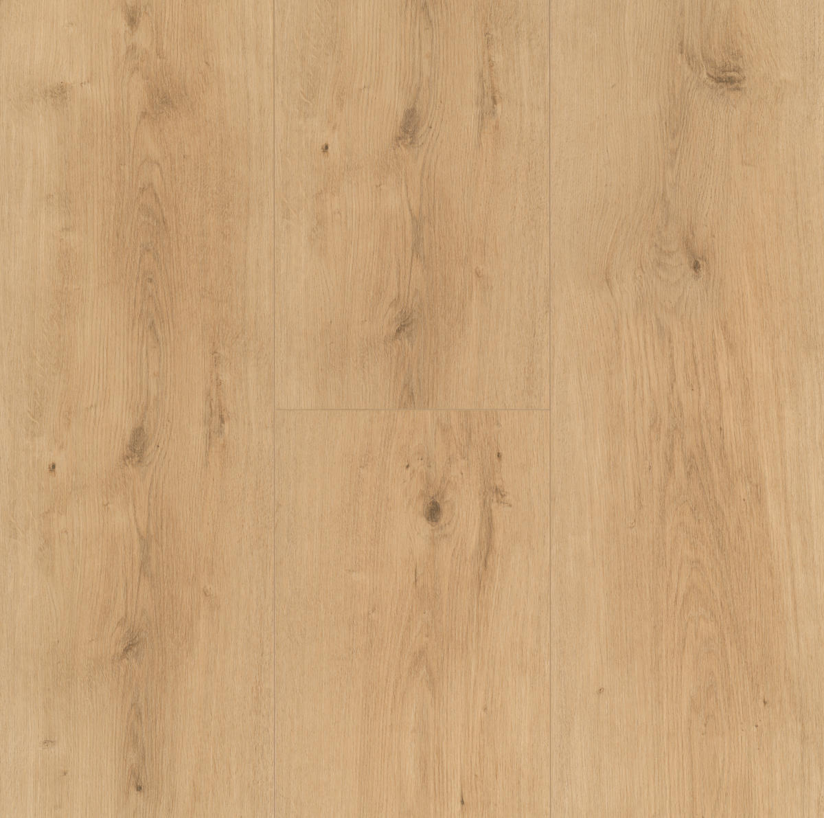 DESIGNBODEN Modular ONE  per  m² - Eichefarben, Design, Holz (220/23.5/0,8cm) - Parador