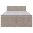 BOXSPRINGBETT 180/200 cm  in Beige  - Beige/Schwarz, KONVENTIONELL, Kunststoff/Textil (180/200cm) - Carryhome