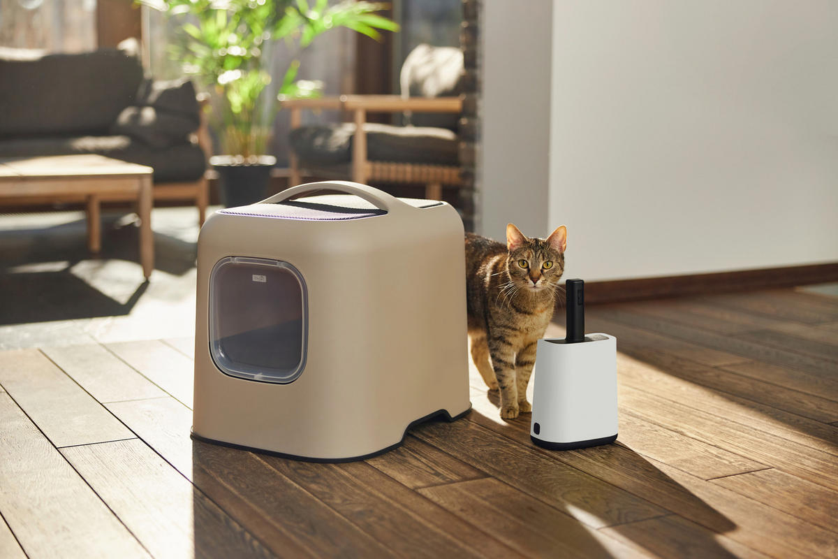 KATZENTOILETTE - Cappuccino, Basics, Kunststoff (51/39,5/44,3cm) - Rotho