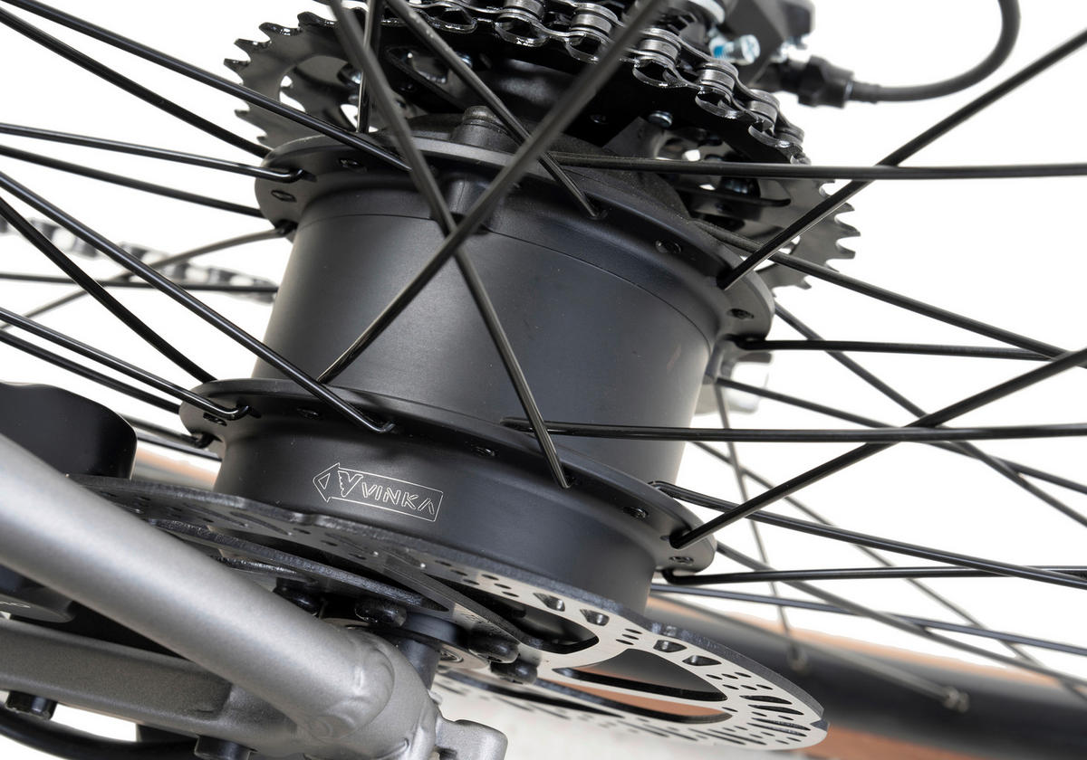 ELEKTROFAHRRAD - Silberfarben, Basics, Metall (180/70/100cm) - Atrigo