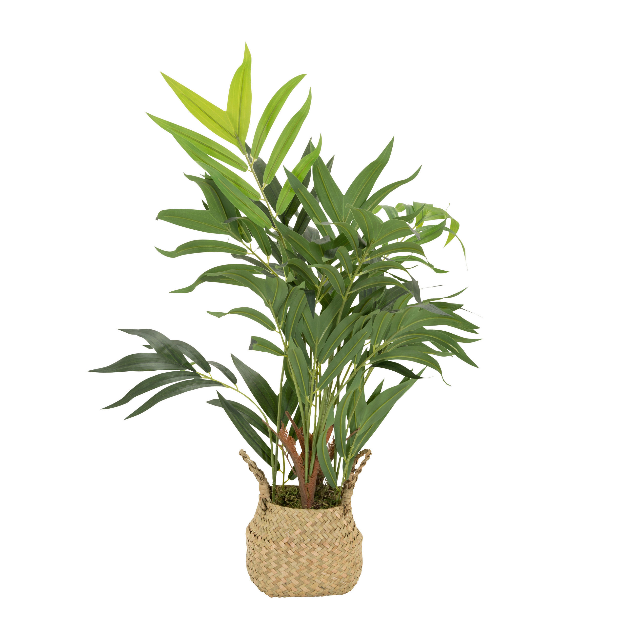 KUNSTPFLANZE Palme  - Hellbraun/Grün, Basics, Kunststoff/Textil (50/65/50cm) - MID.YOU