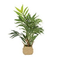 KUNSTPFLANZE Palme  - Hellbraun/Grün, Basics, Kunststoff/Textil (50/65/50cm) - MID.YOU