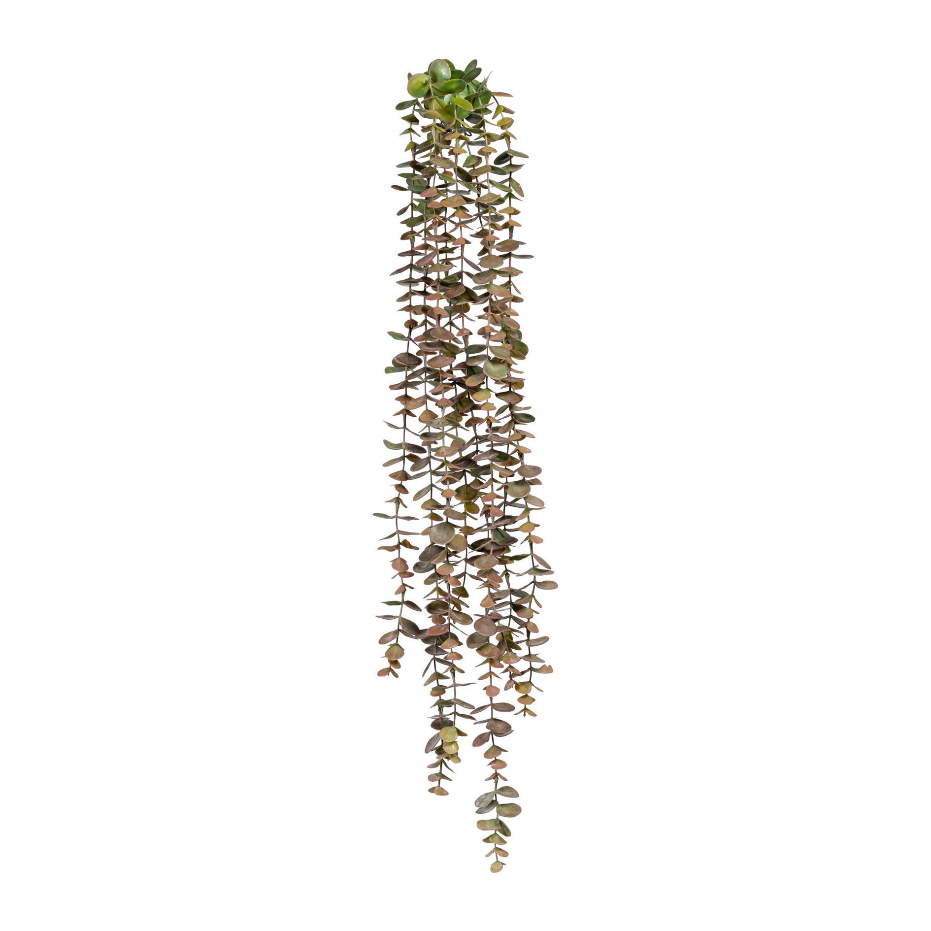 KUNSTPFLANZE Eukalyptus 80 cm  - Grün, Basics, Kunststoff (80cm)