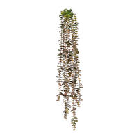 KUNSTPFLANZE Eukalyptus 80 cm  - Grün, Basics, Kunststoff (80cm)