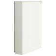 AKTENSCHRANK Weiß  - Weiß, Basics, Holzwerkstoff (160/220,5/42,6cm) - Moderano