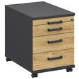 ROLLCONTAINER Anthrazit, Hickory  - Anthrazit/Hickory, Design, Holzwerkstoff/Kunststoff (42,7/54,4/60cm) - Moderano