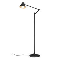 STOJACÍ LAMPA, 50/25/130-158 cm - černá, Konvenční, kov (50/25/130-158cm) - Novel