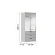 DREHTÜRENSCHRANK 101/223/61 cm,  in Graphitfarben, 2-türig  - Chromfarben/Schwarz, Basics, Glas/Holzwerkstoff (101/223/61cm) - Novel