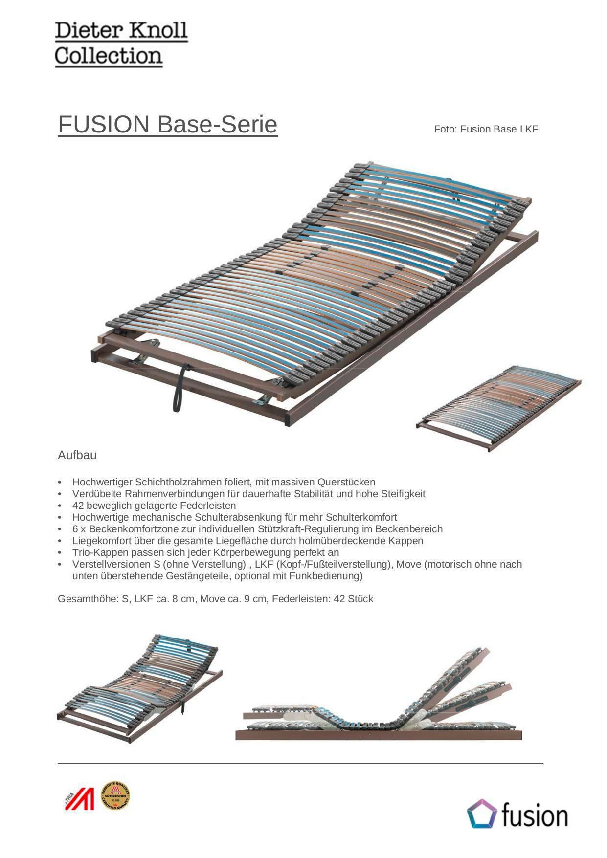 LATTENROST 90/200 cm Kopfteil, Fußteil, Mittelzone verstellbar, Buche  - Blau/Braun, Basics, Holz (90/200cm) - Dieter Knoll
