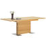 ESSTISCH Kernbuche furniert rechteckig Buchefarben, Edelstahlfarben - Edelstahlfarben/Buchefarben, MODERN, Holz/Metall (160(210)/100/77cm) - DIETER KNOLL