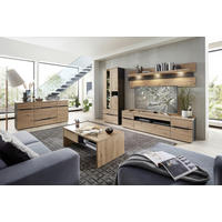 COUCHTISCH 110/65/40 cm rechteckig Graphitfarben, Eiche Artisan  - Graphitfarben/Eiche Artisan, Design, Holzwerkstoff (110/65/40cm) - Carryhome