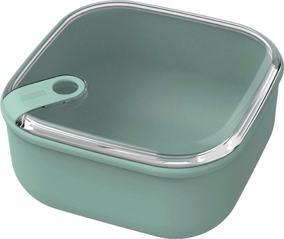 FRISCHHALTEDOSE Ela 2 L  - Transparent/Grün, Basics, Kunststoff (19,5/19,5/10,5cm) - Rotho