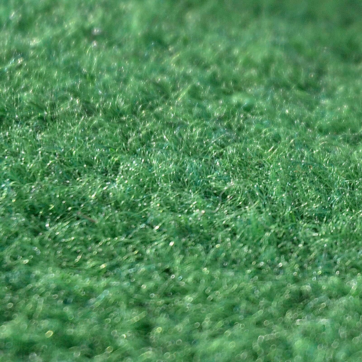 RASENTEPPICH - Grün, Basics, Kunststoff (67/350cm) - Floordirekt