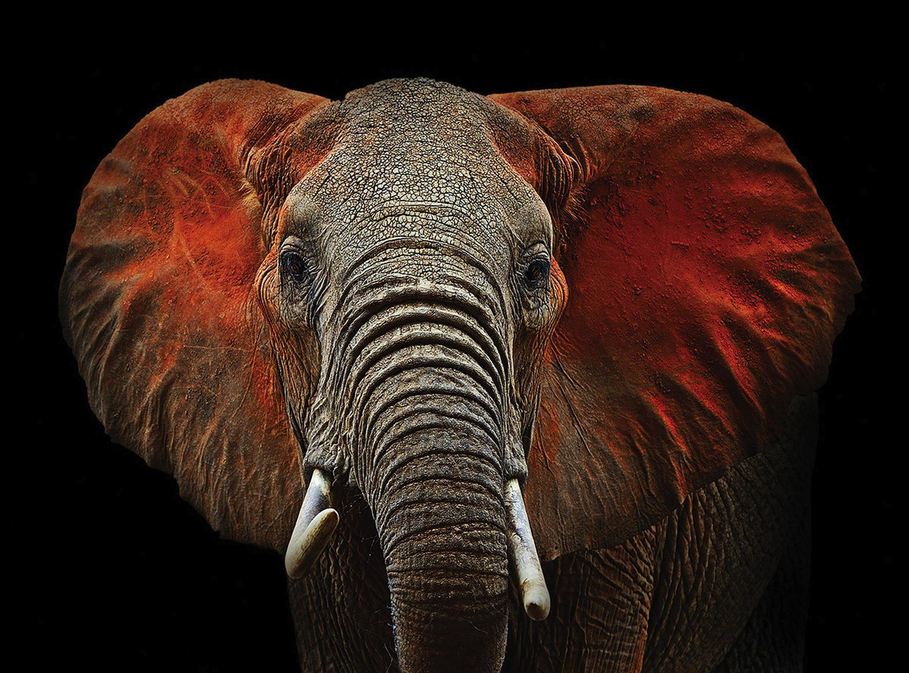 Keilrahmenbild 135/100 cm