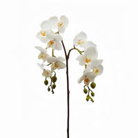 ORCHIDEE - Weiß, Basics, Kunststoff (62cm)