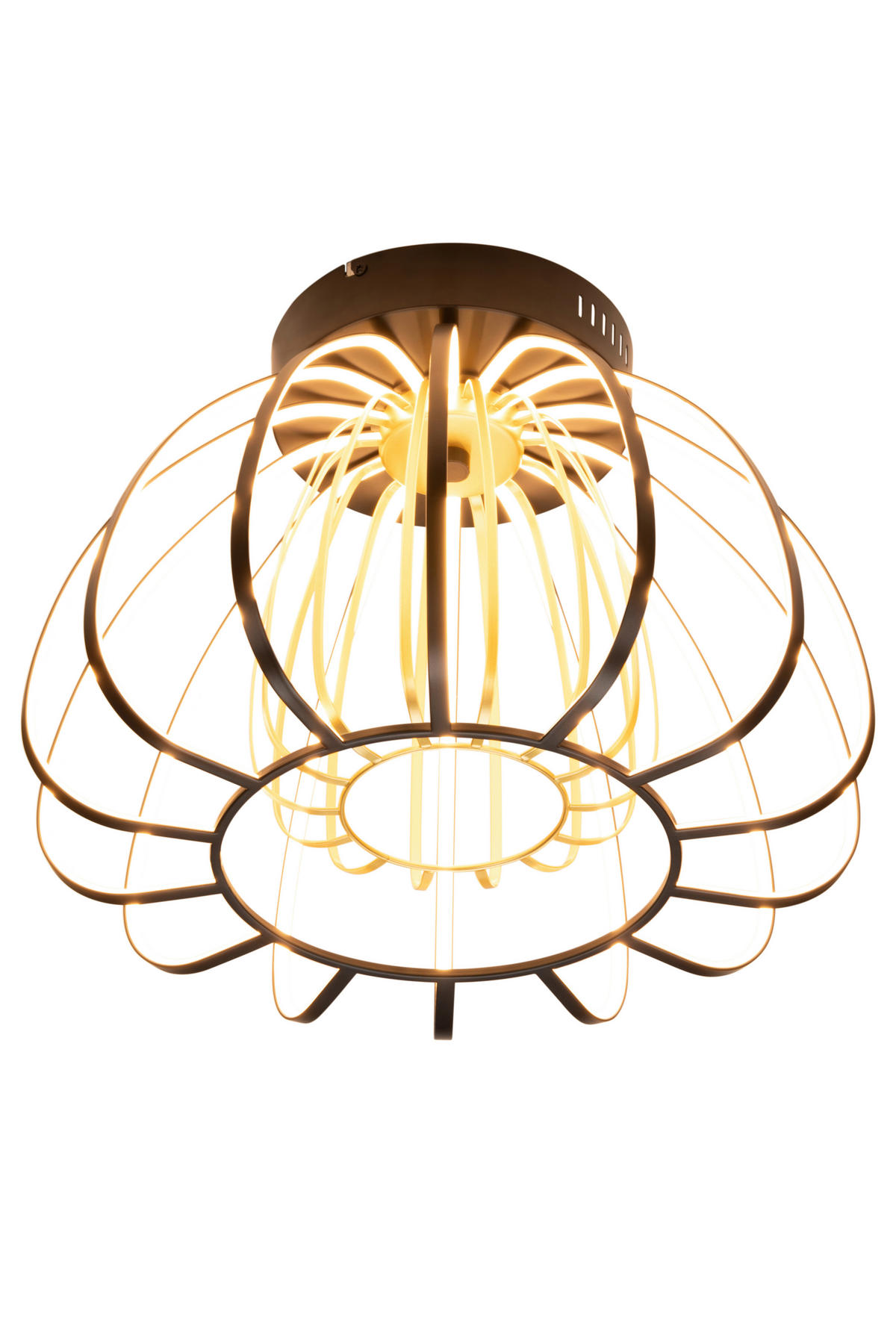 LED MENNYEZETI LÁMPA - fekete/aranyszínű, Design, műanyag/Üveg (44,5/33cm) - Novel