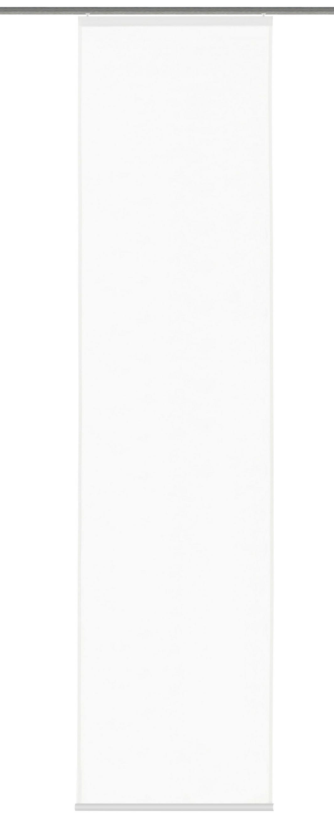 FLÄCHENVORHANG in Weiß transparent  - Weiß, Basics, Textil (60/245cm) - Schmidt W. Gmbh